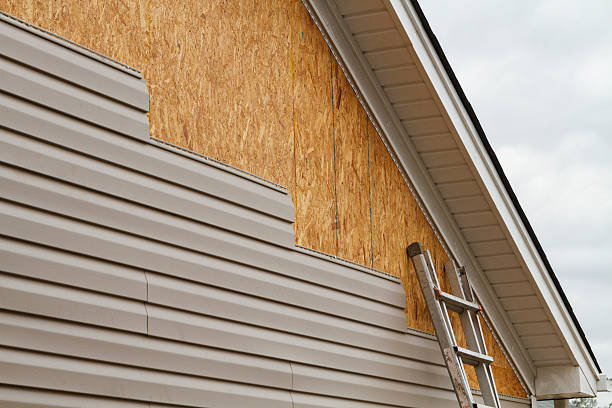 Professional Siding Contractor technician working in Buena Vista, CO